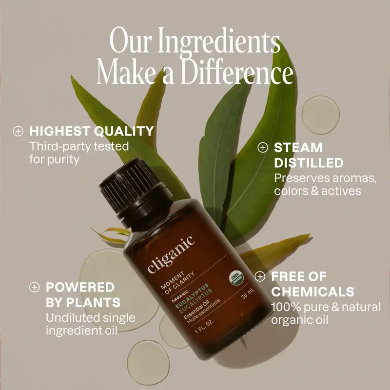 organic-eucalyptus-essential-oilessential-oil-singles-597787.webp