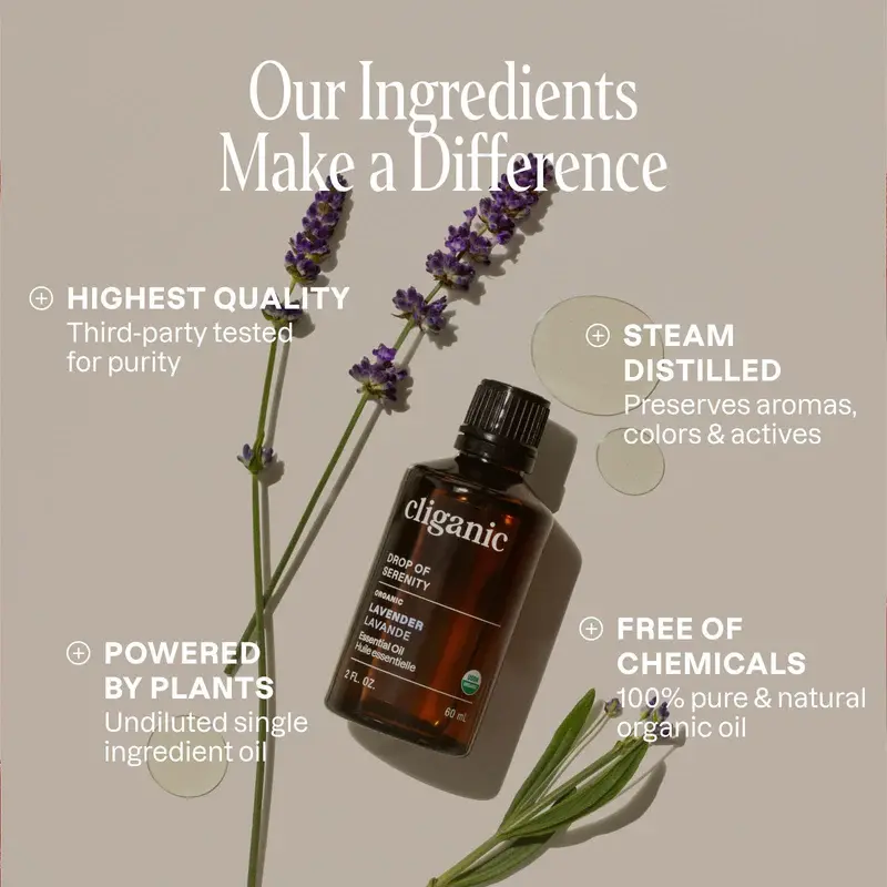 organic-lavender-essential-oilessential-oil-singles-352182.webp