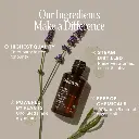 organic-lavender-essential-oilessential-oil-singles-352182.webp