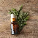 Tea Tree Essential Oil.webp