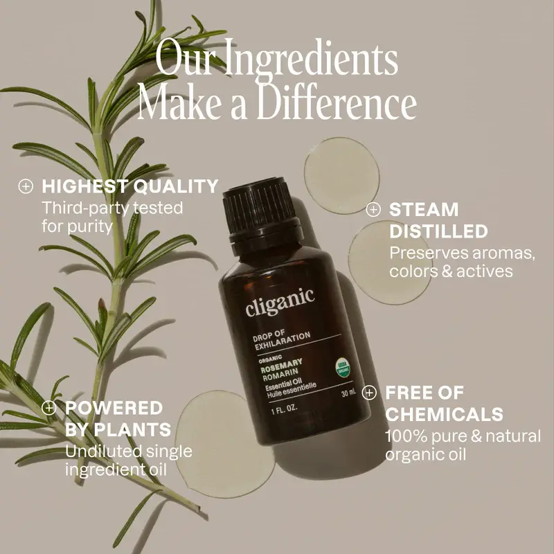 organic-rosemary-essential-oilessential-oil-singles-525057.webp