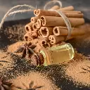 Cassia Essential Oil.webp