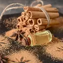 Cinnamon Cassia Essential Oil